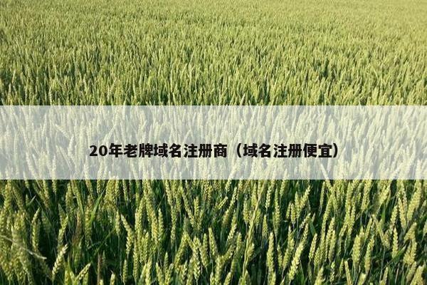 20年老牌域名注册商（域名注册便宜）