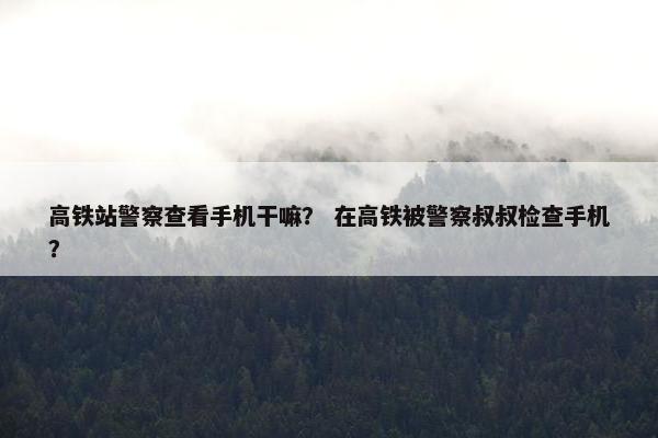 高铁站警察查看手机干嘛？ 在高铁被警察叔叔检查手机？