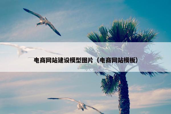电商网站建设模型图片（电商网站模板）