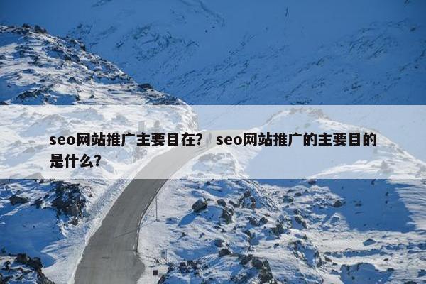 seo网站推广主要目在？ seo网站推广的主要目的是什么？
