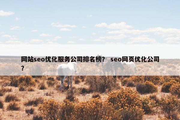 网站seo优化服务公司排名榜？ seo网页优化公司？