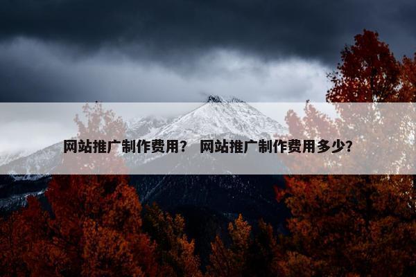 网站推广制作费用？ 网站推广制作费用多少？