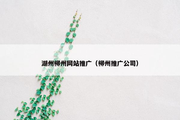 湖州柳州网站推广（柳州推广公司）