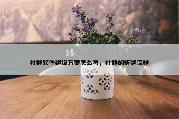 社群软件建设方案怎么写，社群的搭建流程