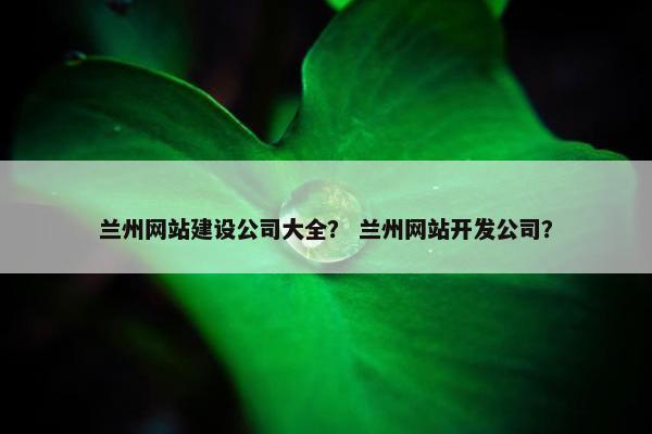兰州网站建设公司大全？ 兰州网站开发公司？