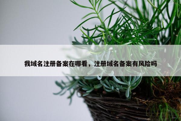 我域名注册备案在哪看，注册域名备案有风险吗