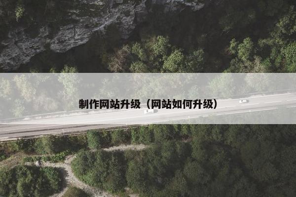 制作网站升级（网站如何升级）
