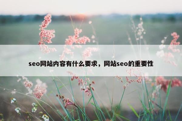 seo网站内容有什么要求，网站seo的重要性