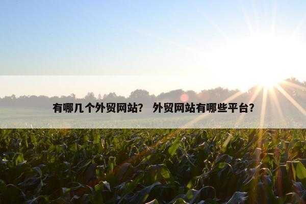 有哪几个外贸网站？ 外贸网站有哪些平台？