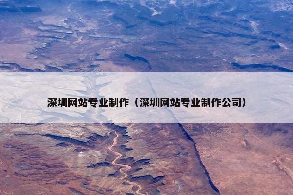 深圳网站专业制作（深圳网站专业制作公司）