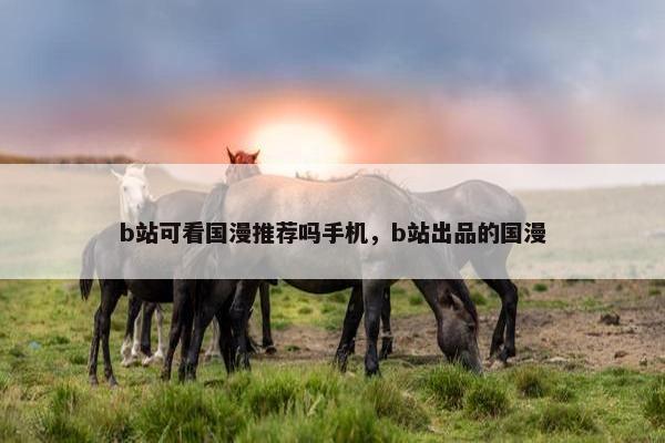 b站可看国漫推荐吗手机，b站出品的国漫