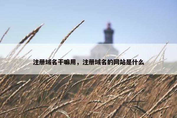 注册域名干嘛用，注册域名的网站是什么