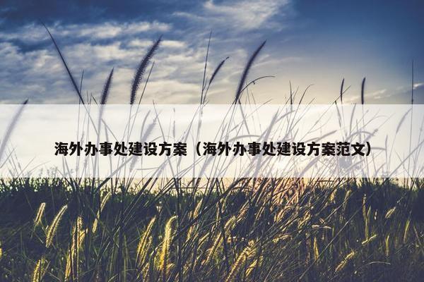 海外办事处建设方案（海外办事处建设方案范文）