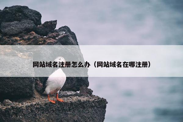 网站域名注册怎么办（网站域名在哪注册）