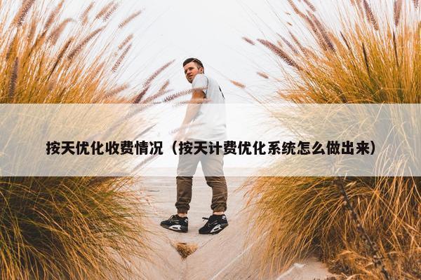 按天优化收费情况（按天计费优化系统怎么做出来）