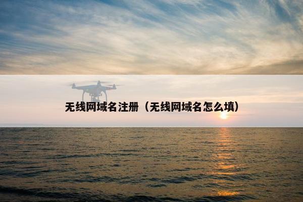 无线网域名注册（无线网域名怎么填）