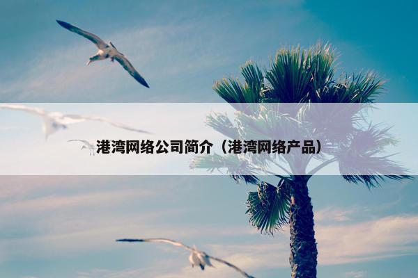 港湾网络公司简介（港湾网络产品）