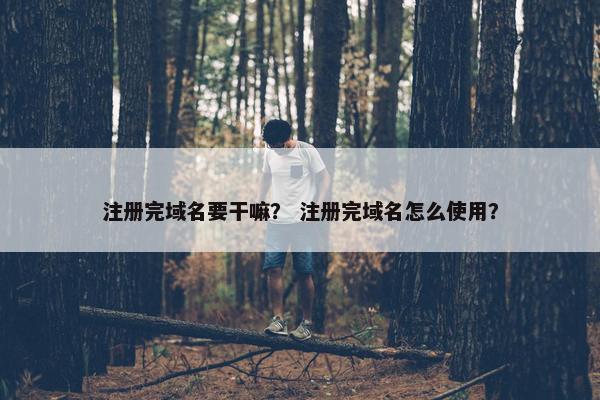 注册完域名要干嘛？ 注册完域名怎么使用？