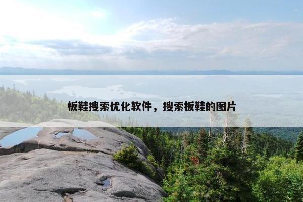 板鞋搜索优化软件，搜索板鞋的图片