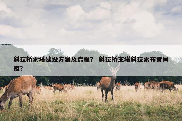 斜拉桥索塔建设方案及流程？ 斜拉桥主塔斜拉索布置间距？