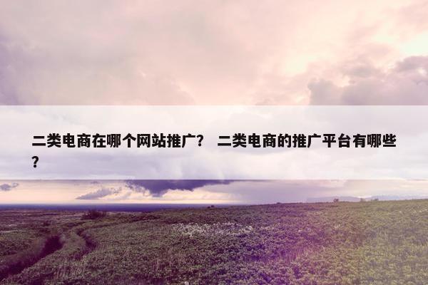 二类电商在哪个网站推广？ 二类电商的推广平台有哪些？