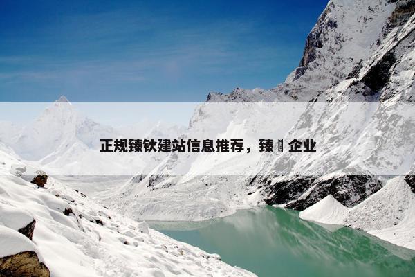 正规臻钬建站信息推荐，臻氿企业
