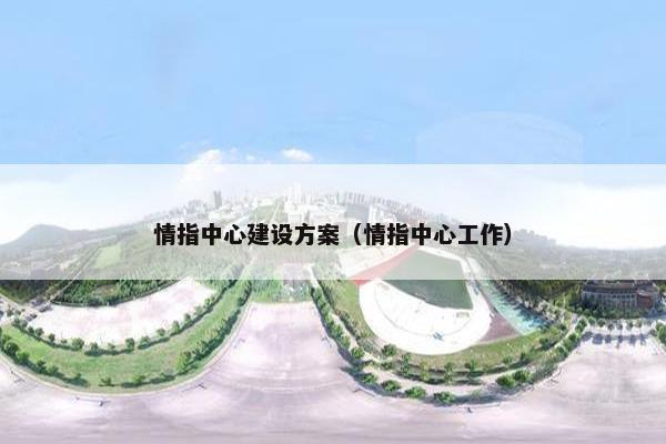 情指中心建设方案（情指中心工作）