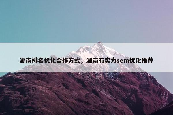 湖南排名优化合作方式，湖南有实力sem优化推荐