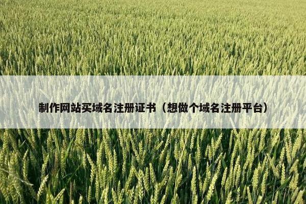 制作网站买域名注册证书（想做个域名注册平台）