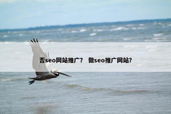 否seo网站推广？ 做seo推广网站？