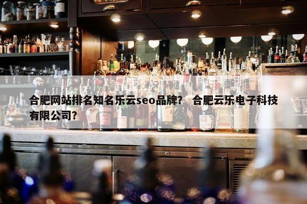 合肥网站排名知名乐云seo品牌？ 合肥云乐电子科技有限公司？