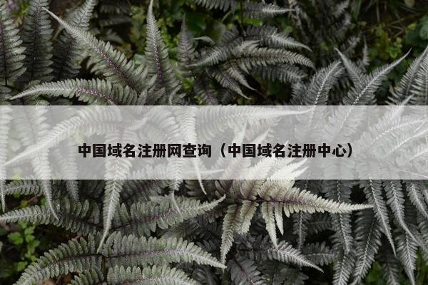 中国域名注册网查询（中国域名注册中心）