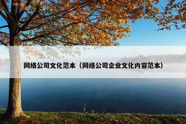 网络公司文化范本（网络公司企业文化内容范本）