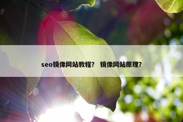 seo镜像网站教程？ 镜像网站原理？