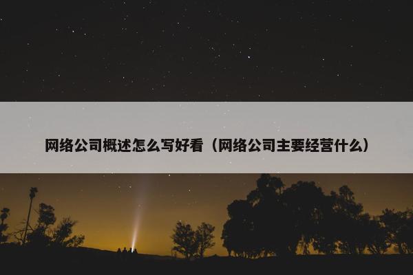 网络公司概述怎么写好看（网络公司主要经营什么）