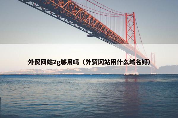 外贸网站2g够用吗（外贸网站用什么域名好）