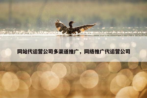 网站代运营公司多渠道推广，网络推广代运营公司