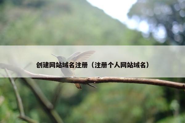 创建网站域名注册（注册个人网站域名）
