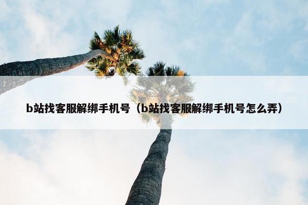 b站找客服解绑手机号（b站找客服解绑手机号怎么弄）