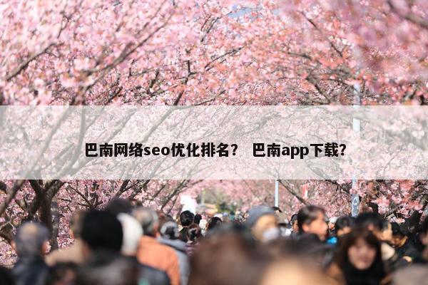 巴南网络seo优化排名？ 巴南app下载？