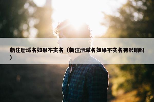 新注册域名如果不实名（新注册域名如果不实名有影响吗）