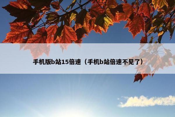 手机版b站15倍速（手机b站倍速不见了）