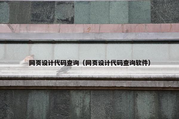 网页设计代码查询（网页设计代码查询软件）