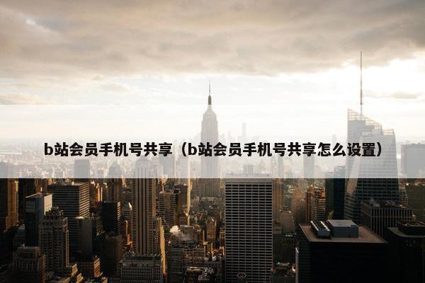 b站会员手机号共享（b站会员手机号共享怎么设置）