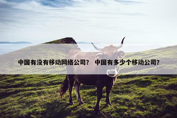 中国有没有移动网络公司？ 中国有多少个移动公司？