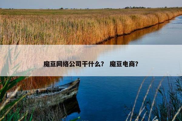 魔豆网络公司干什么？ 魔豆电商？