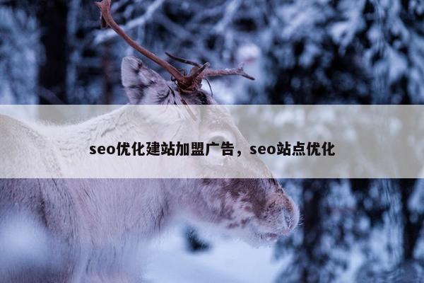 seo优化建站加盟广告，seo站点优化