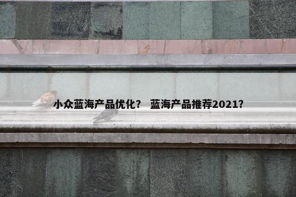 小众蓝海产品优化？ 蓝海产品推荐2021？
