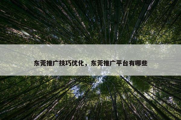 东莞推广技巧优化，东莞推广平台有哪些