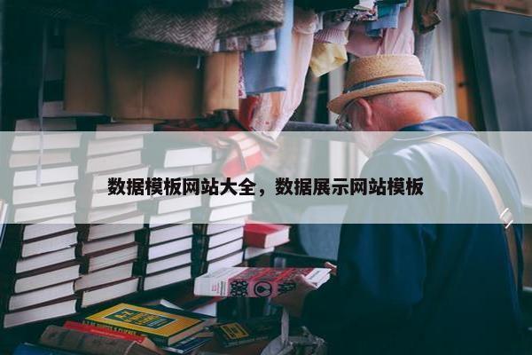 数据模板网站大全，数据展示网站模板